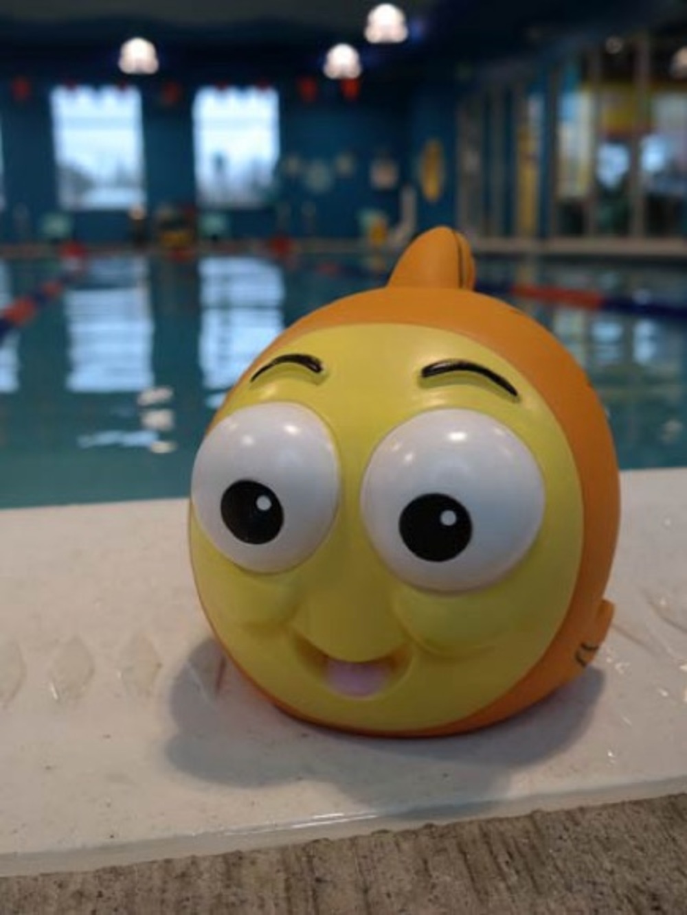 Large Bath/Pool Toy